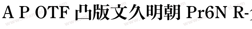 A P OTF 凸版文久明朝 Pr6N R字体转换